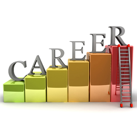 Career